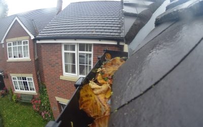 Is now the right time to have my gutters cleaned out?