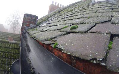 Gutter Clearing – How High can you reach?