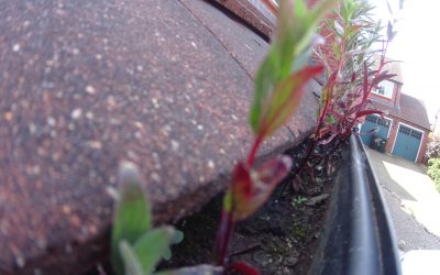 Gutter Cleaning Perton