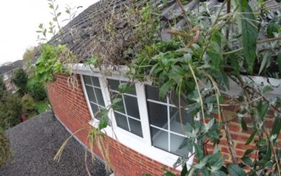 Gutter Cleaning in High Wycombe proves prevention is cheaper than cure